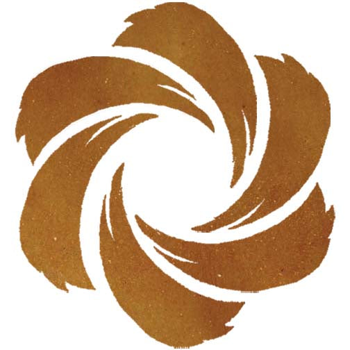 Concrete Acid Stain  |  Desert Fire