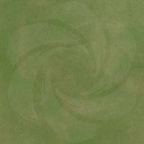 Concrete Acid Stain | Pacific Dogwood