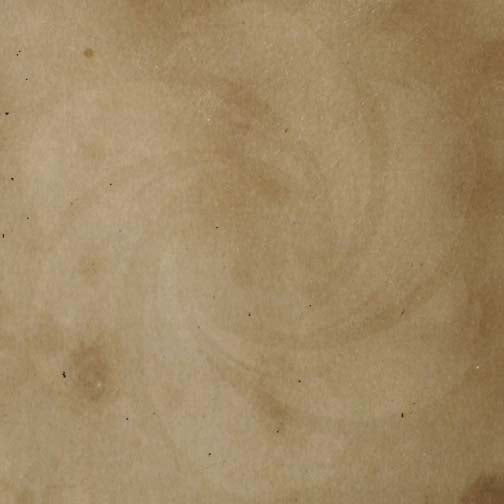 Concrete Acid Stain | Timberwolf
